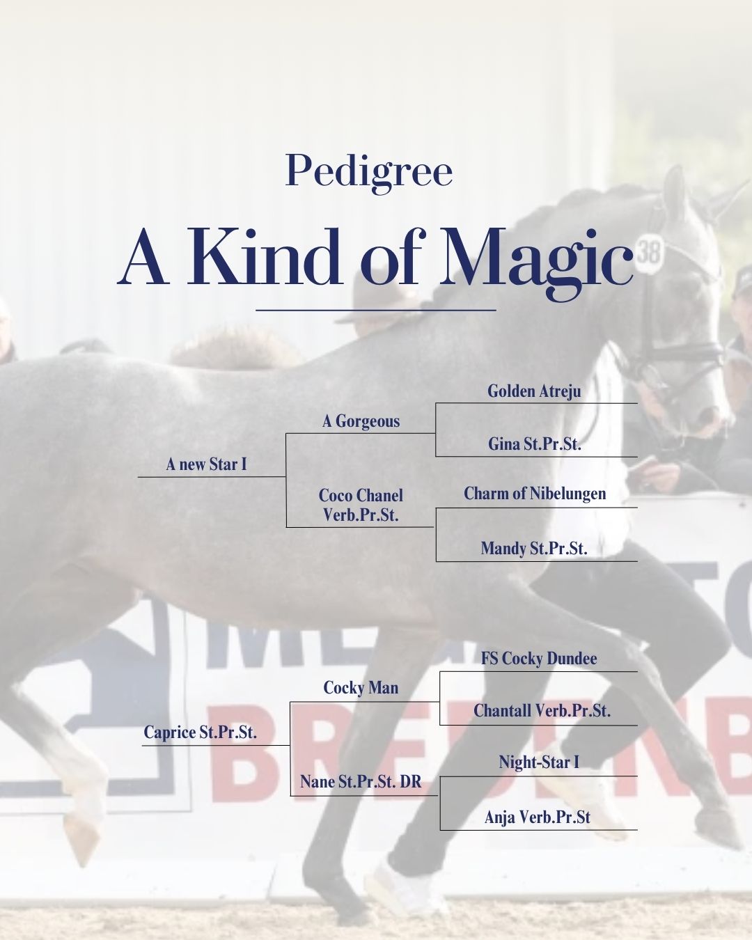 Pedigree von A Kind of Magic
